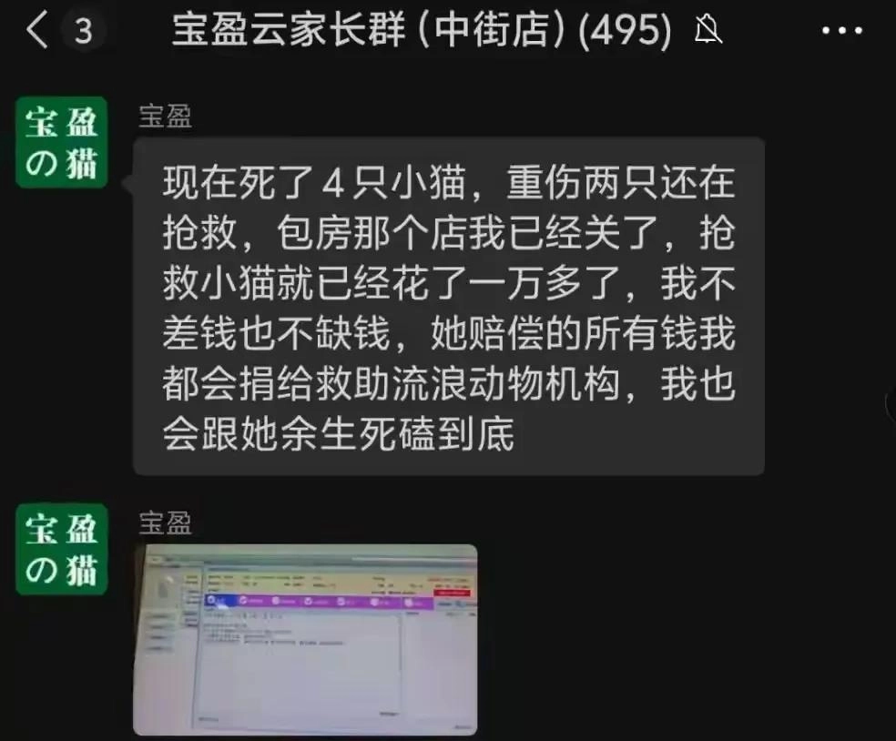东北女子虐杀幼猫:被曝是央企职工,店主死磕到底,当地文旅沦陷