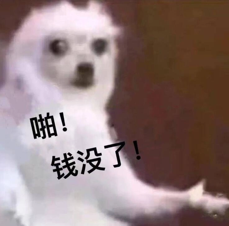 游戏梦碎欠巨债!19岁高中生抵押房产辍学做游戏,1年烧光410万!