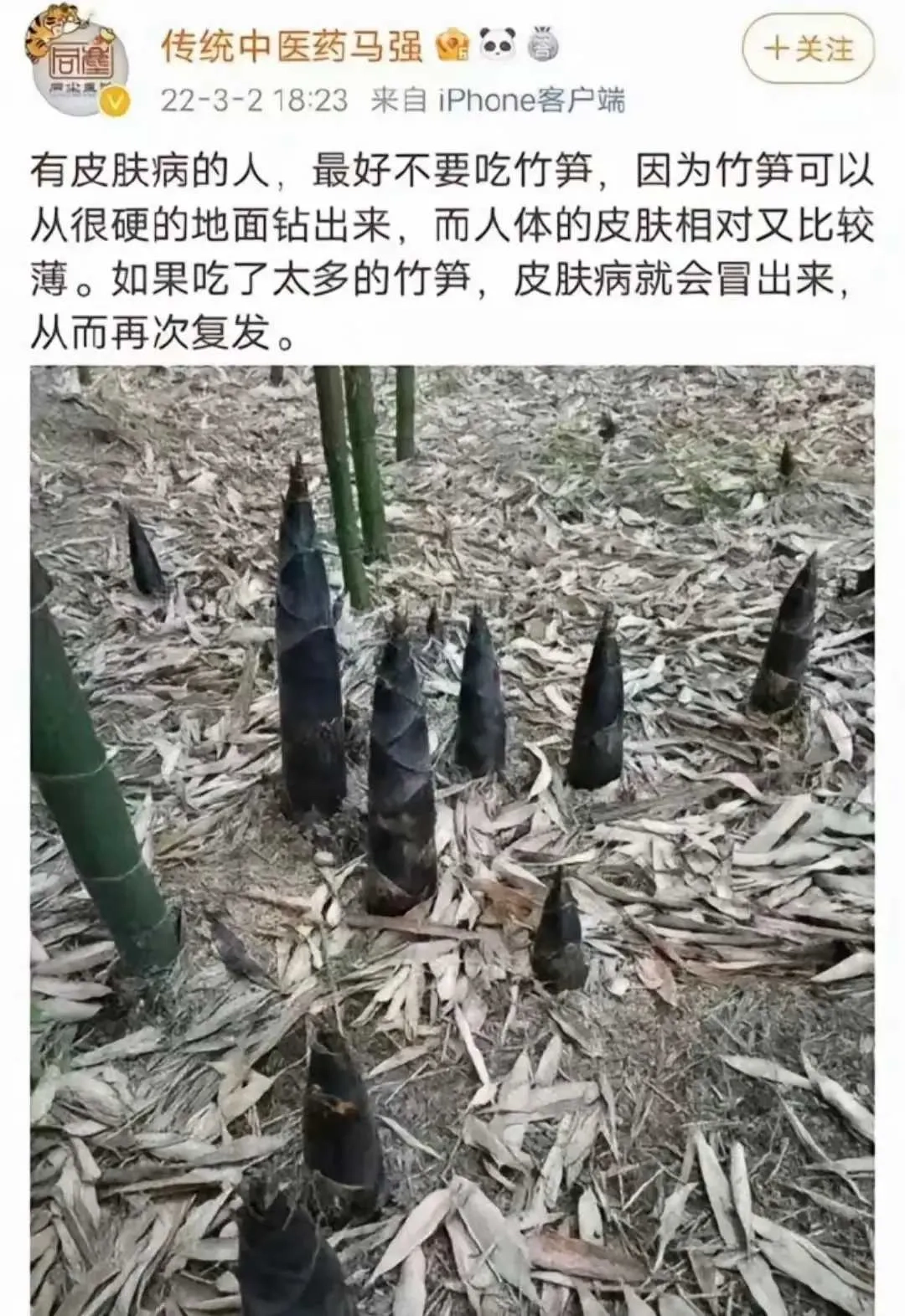 中医理论很神奇，以形补形，中医要是便秘就得吃屎了 - 吐槽银魂 - 大众生活 - 万事屋 | 生活·动漫·娱乐综合社区-银魂同好聚集地