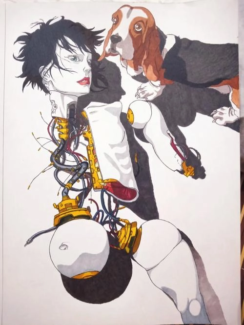 《攻壳机动队·无垢》是《攻壳机动队》最后的坚持 - 万事屋 | 生活·动漫·娱乐综合社区-银魂同好聚集地