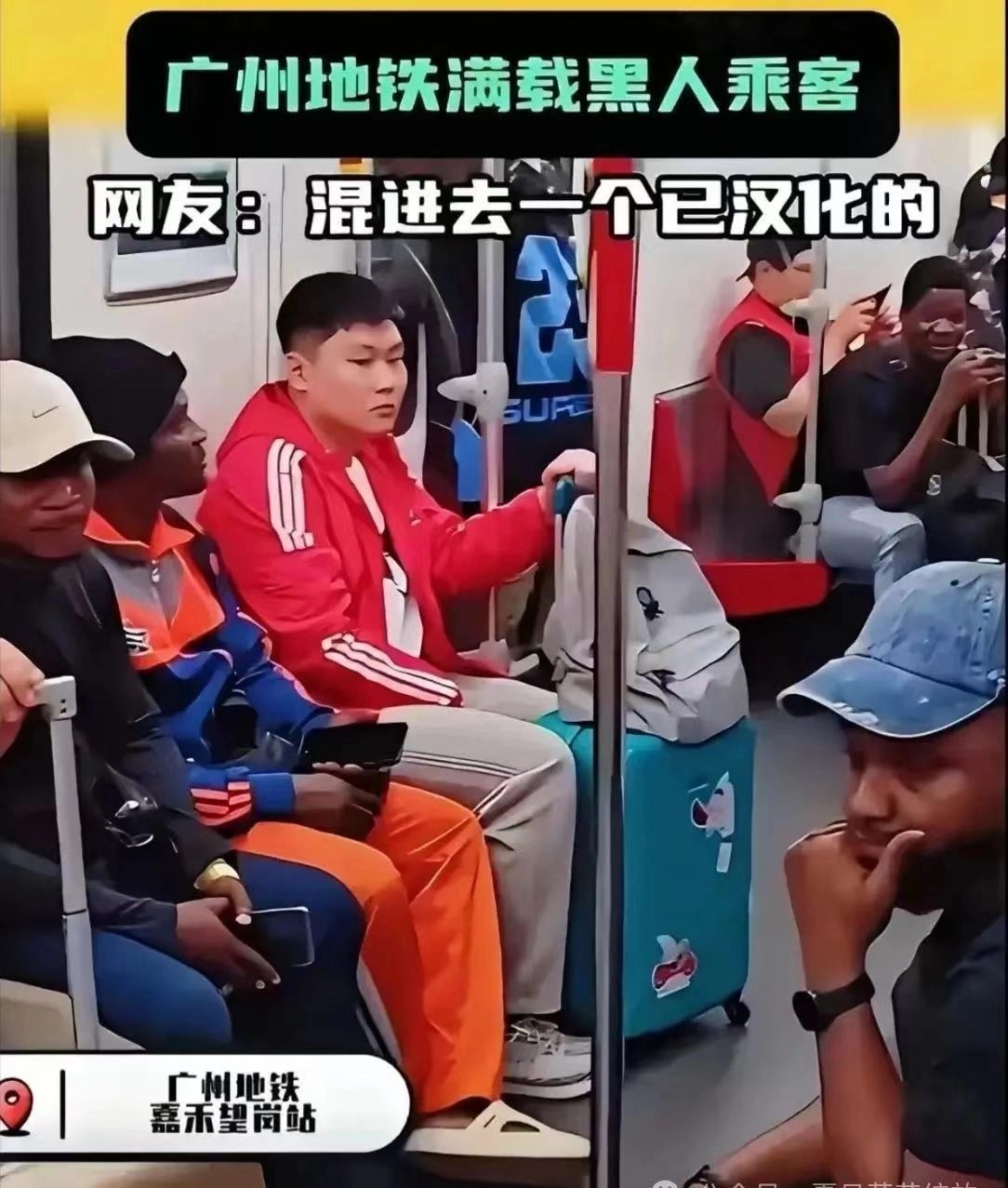 有网友戏称这是物种入侵 - 吐槽银魂 - 大众生活 - 万事屋 | 生活·动漫·娱乐综合社区-银魂同好聚集地
