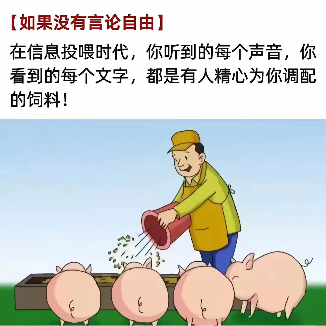 网络发达的年代，反而是信息茧房越发牢固的年代 - 生活银魂 - 大众生活 - 万事屋 | 生活·动漫·娱乐综合社区-银魂同好聚集地