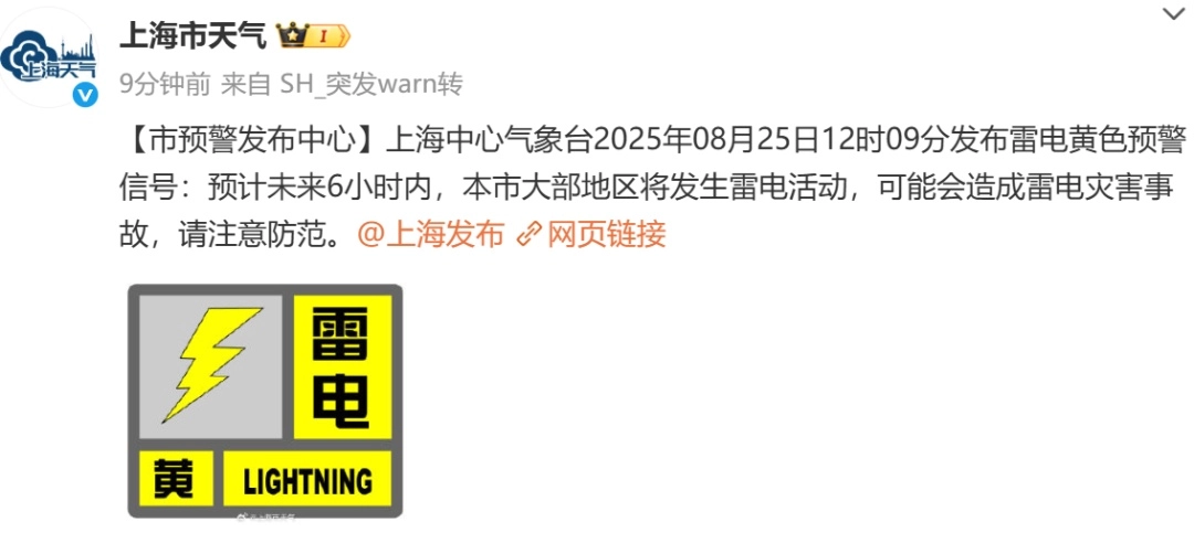 上海五预警连发,大雨到暴雨+10级大风+雷电+冰雹!请尽量避免外出