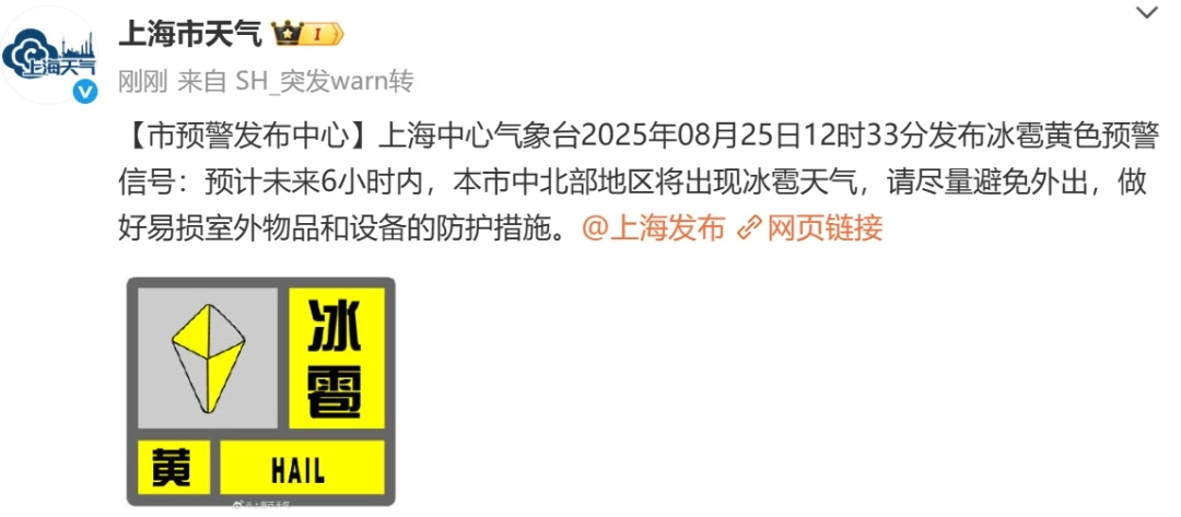 上海五预警连发,大雨到暴雨+10级大风+雷电+冰雹!请尽量避免外出