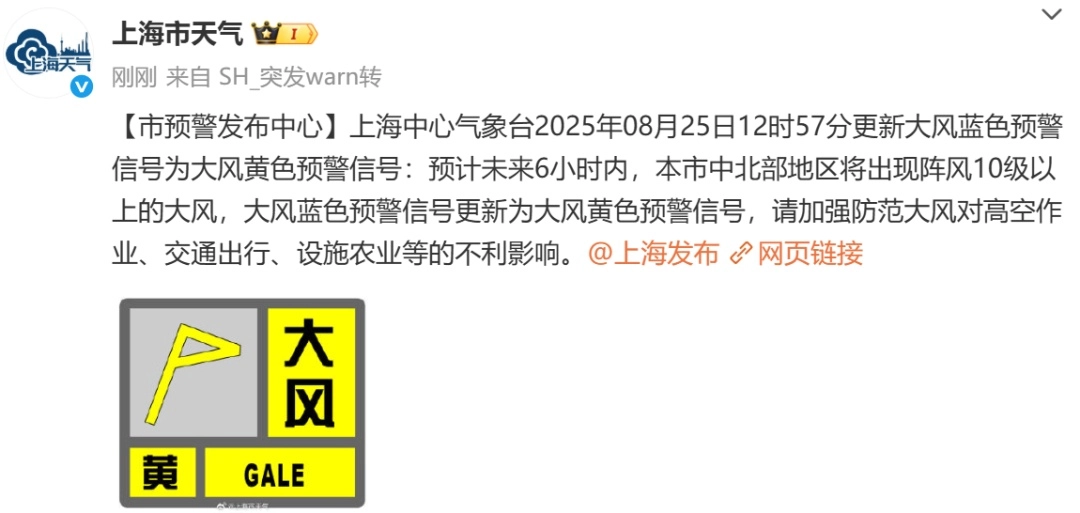 上海五预警连发,大雨到暴雨+10级大风+雷电+冰雹!请尽量避免外出