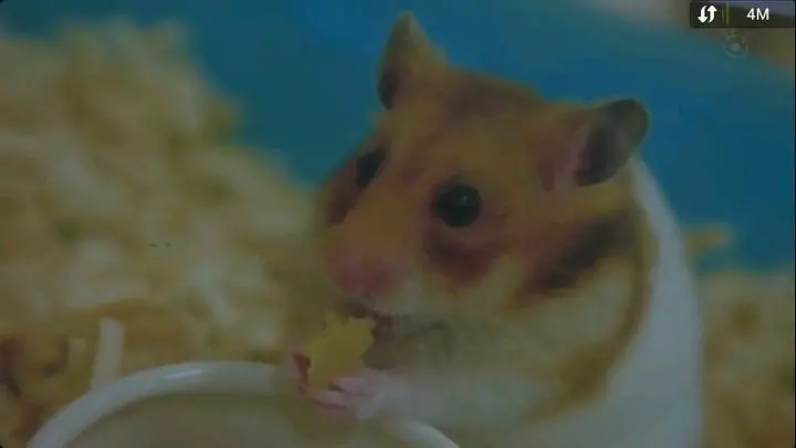 图片[38] - 有网友感叹，一部三观不正的剧，居然火了十多年！ - 万事屋 | 生活·动漫·娱乐综合社区-银魂同好聚集地