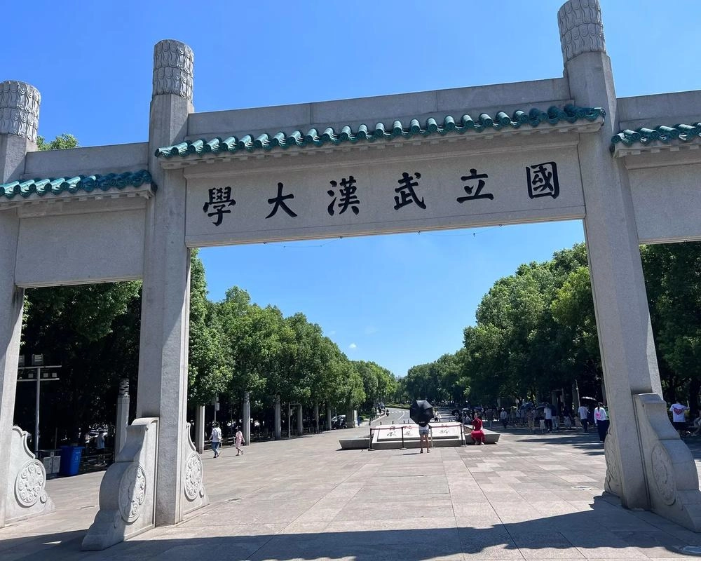又一杨景媛?HR面试武大女,还没录取就被投诉,HR:武大直接刷掉