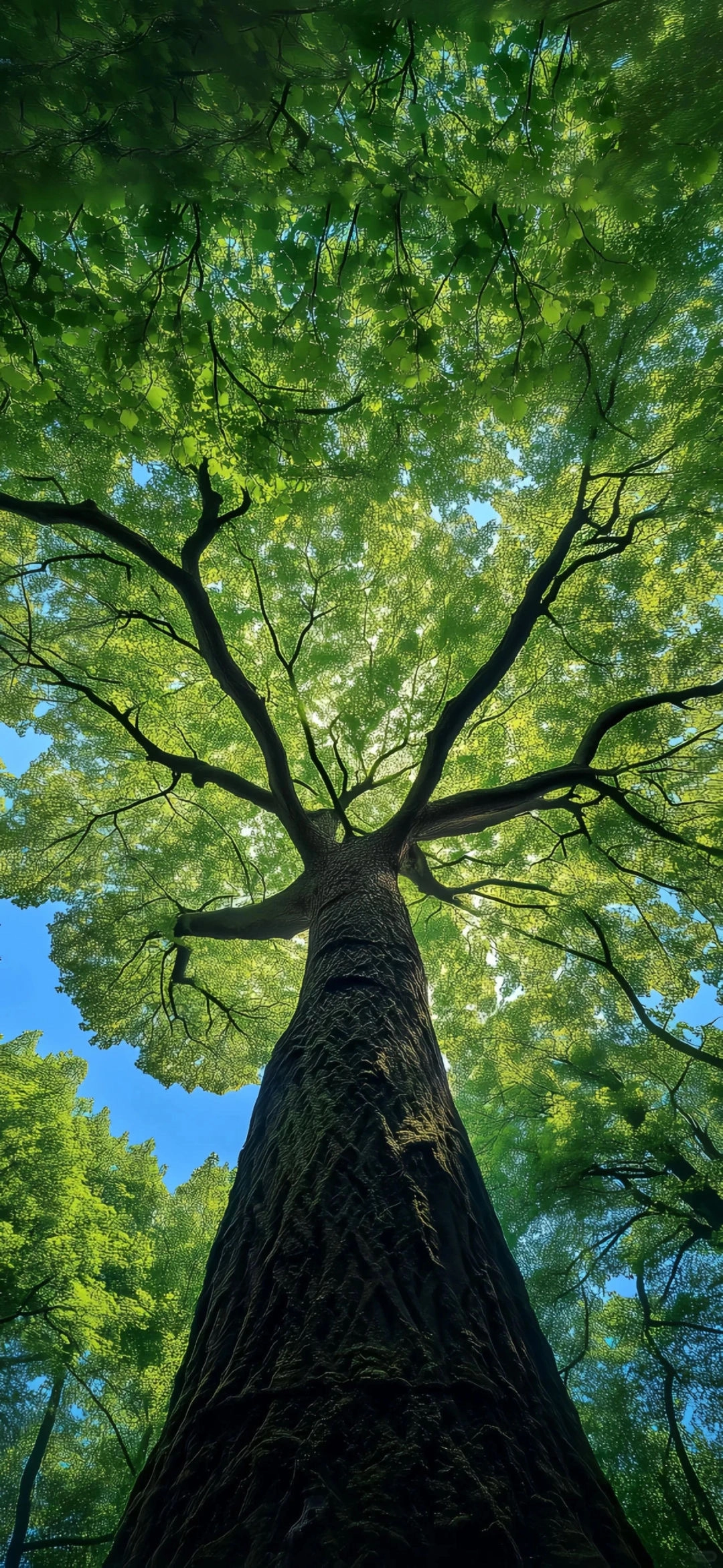 分享几张iOS全新质感壁纸