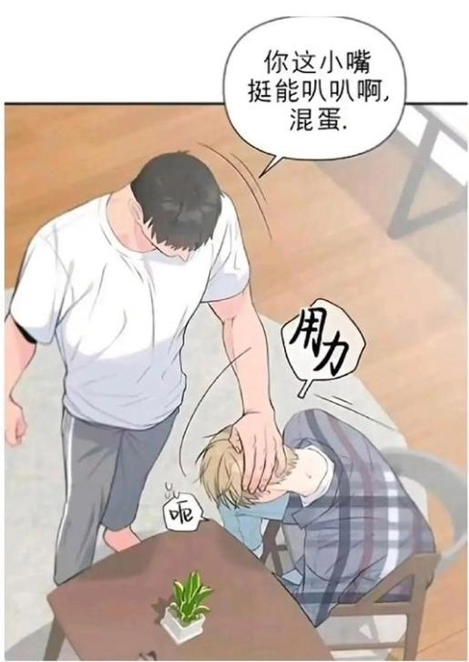 这真不是地域歧视,“建议禁止东北人进汉化组”又一次上热搜?真就看一下笑一次