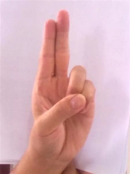 一些道教手印示范，给有需要的人 - 万事屋 | 生活·动漫·娱乐综合社区-银魂同好聚集地