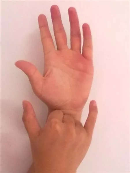 一些道教手印示范，给有需要的人 - 万事屋 | 生活·动漫·娱乐综合社区-银魂同好聚集地