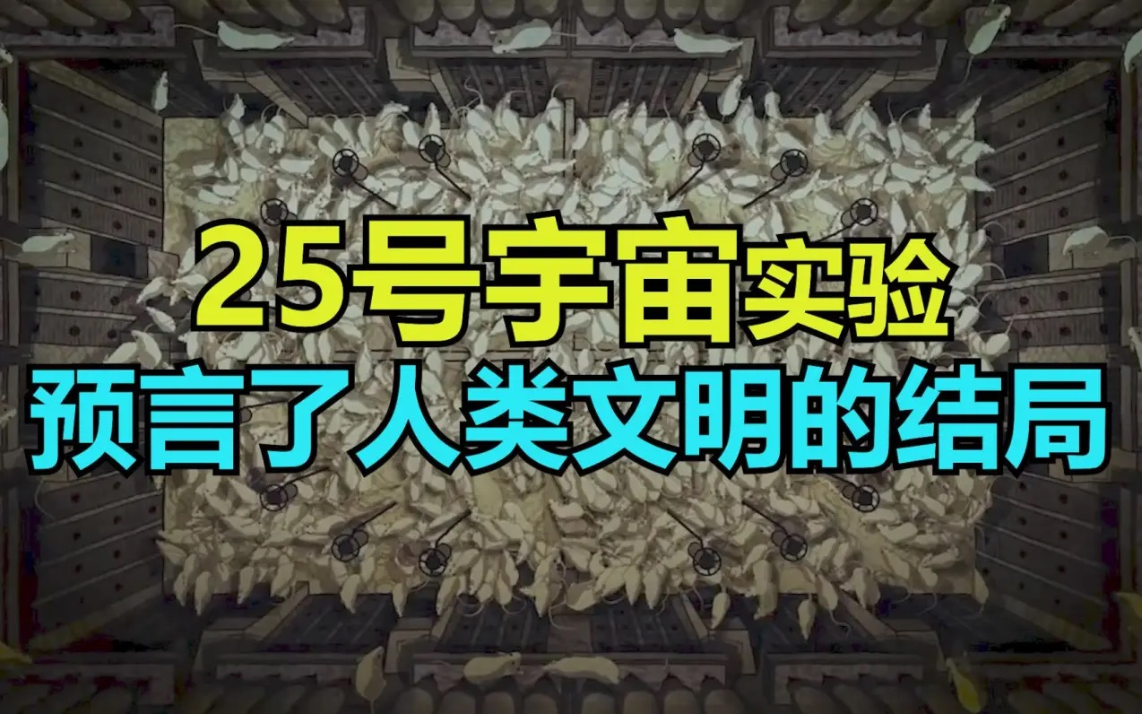 25号宇宙实验惊醒中国人：这些社会现象正在我们身边上演！