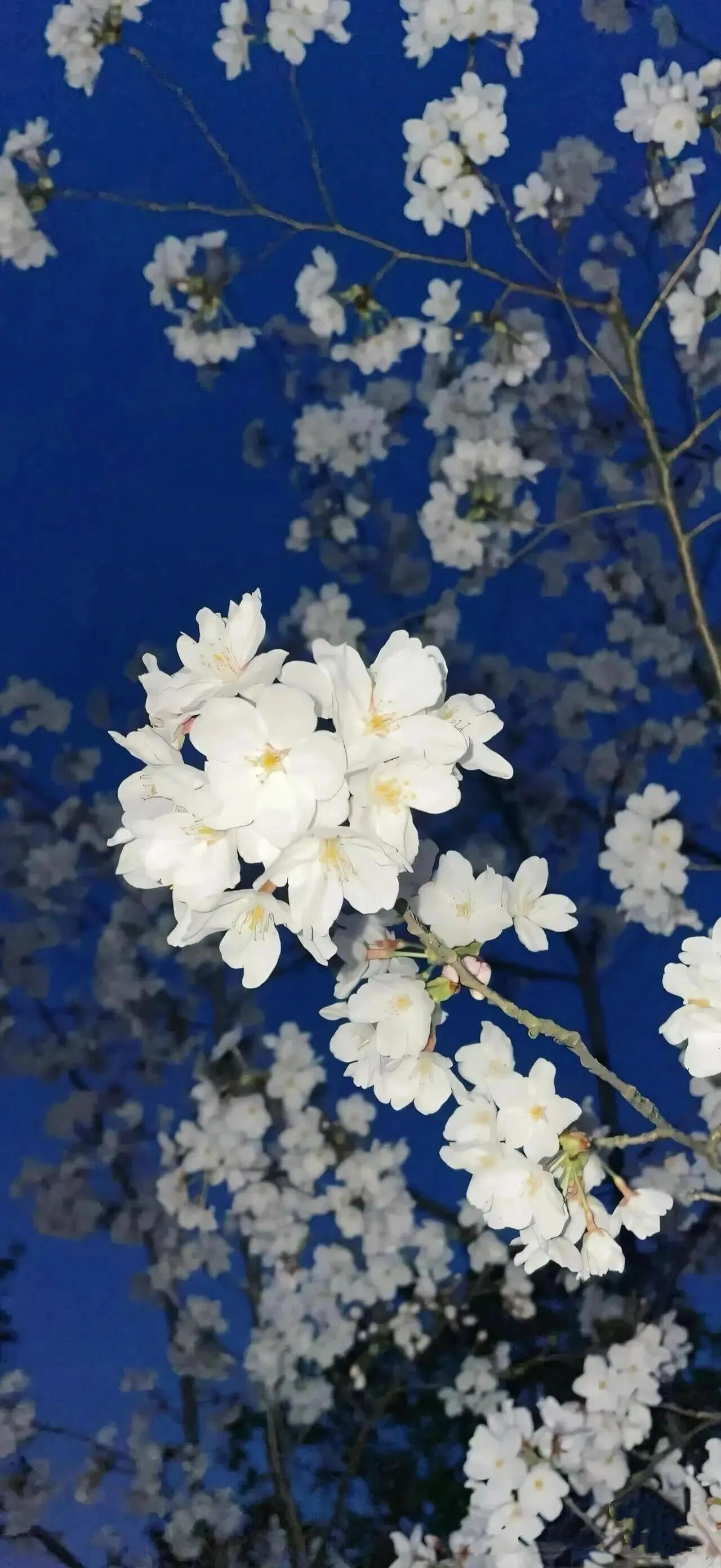 iOS 26 液态玻璃壁纸