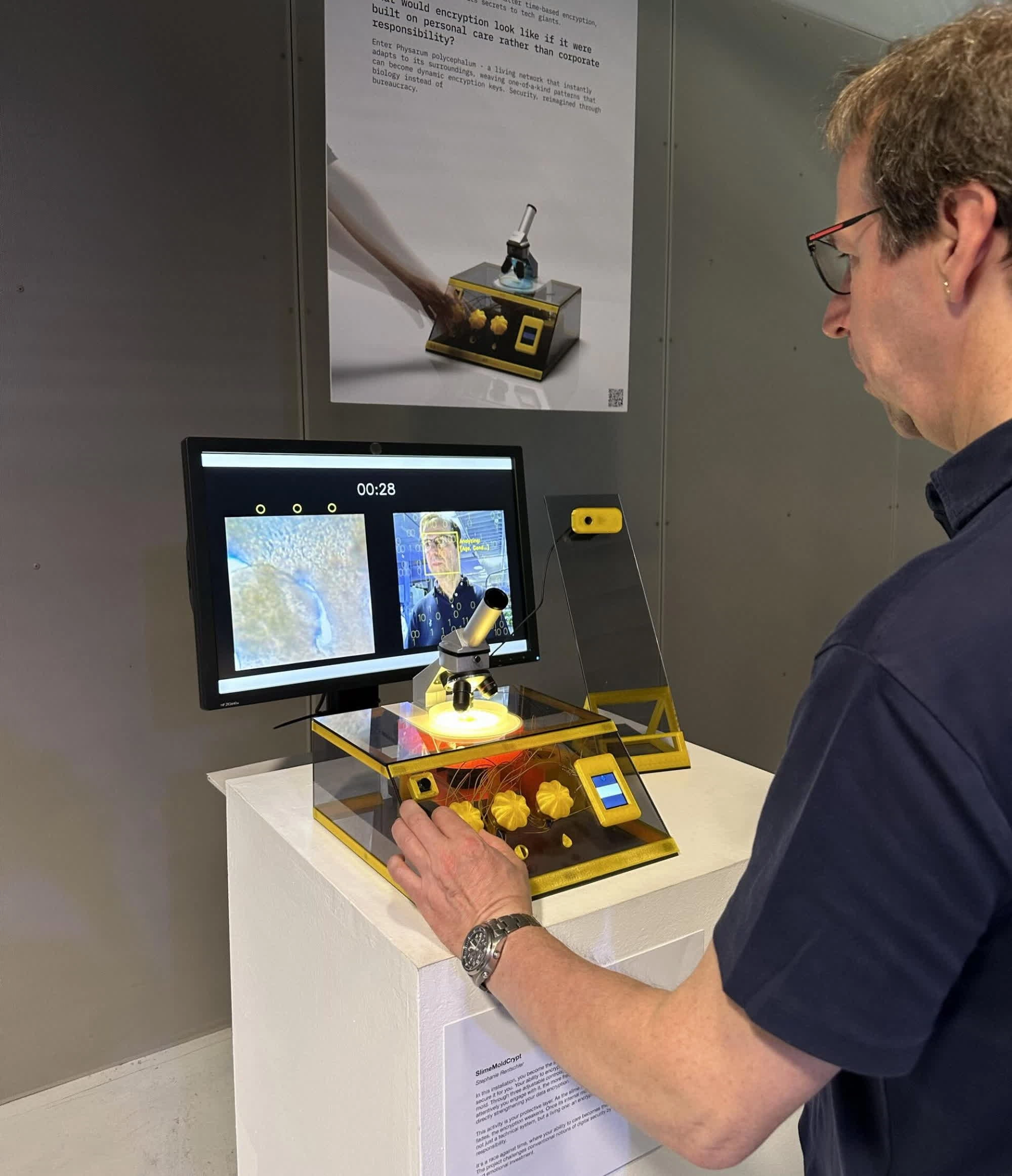 黏菌与加密技术在激进艺术实验中相遇