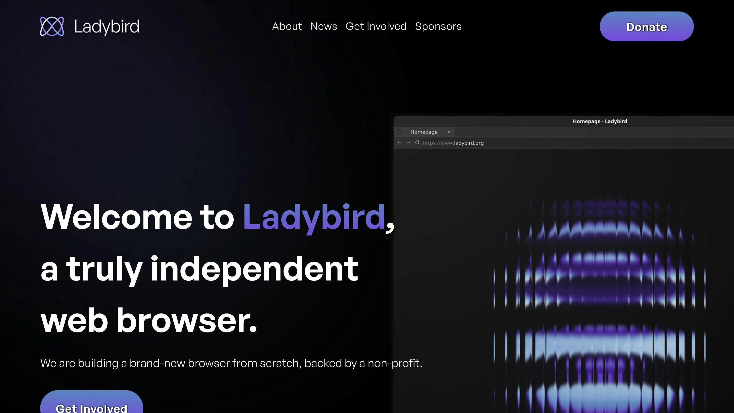 新一代浏览器 Web 引擎 Ladybird 已狂揽 4.4w star！ - 万事屋 | 生活·动漫·娱乐综合社区-银魂同好聚集地