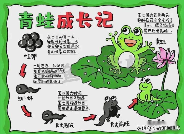 “教材也太恶心了!”家长吐槽教材内容,网友:学渣父母就这样