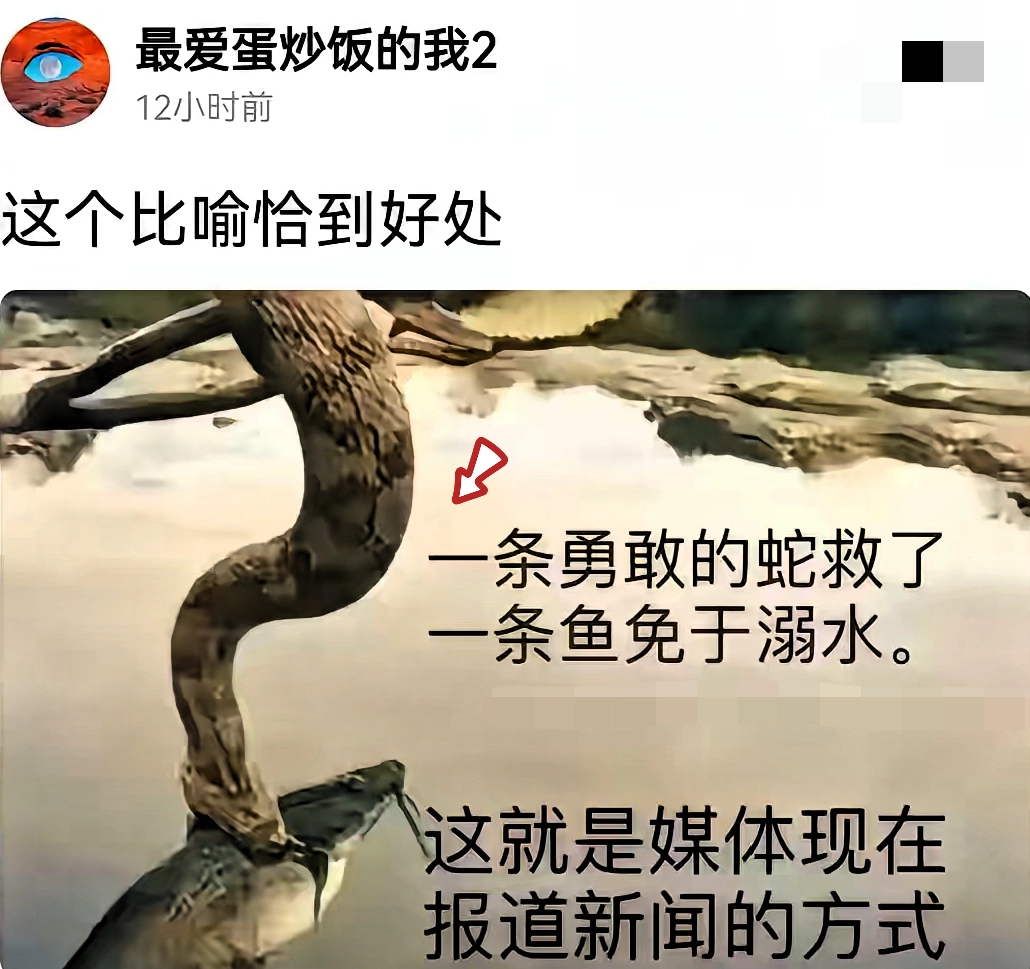 所以呢，鱼活下来是要好好感激蛇的对吧？ - 万事屋 | 生活·动漫·娱乐综合社区-银魂同好聚集地