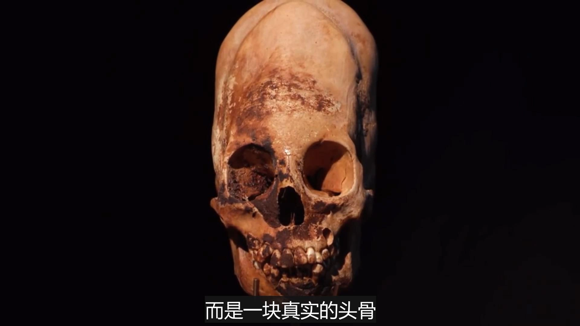 南美惊现“神族遗骸”!DNA检测结果让专家集体沉默 - 万事屋 | 生活·动漫·娱乐综合社区-银魂同好聚集地