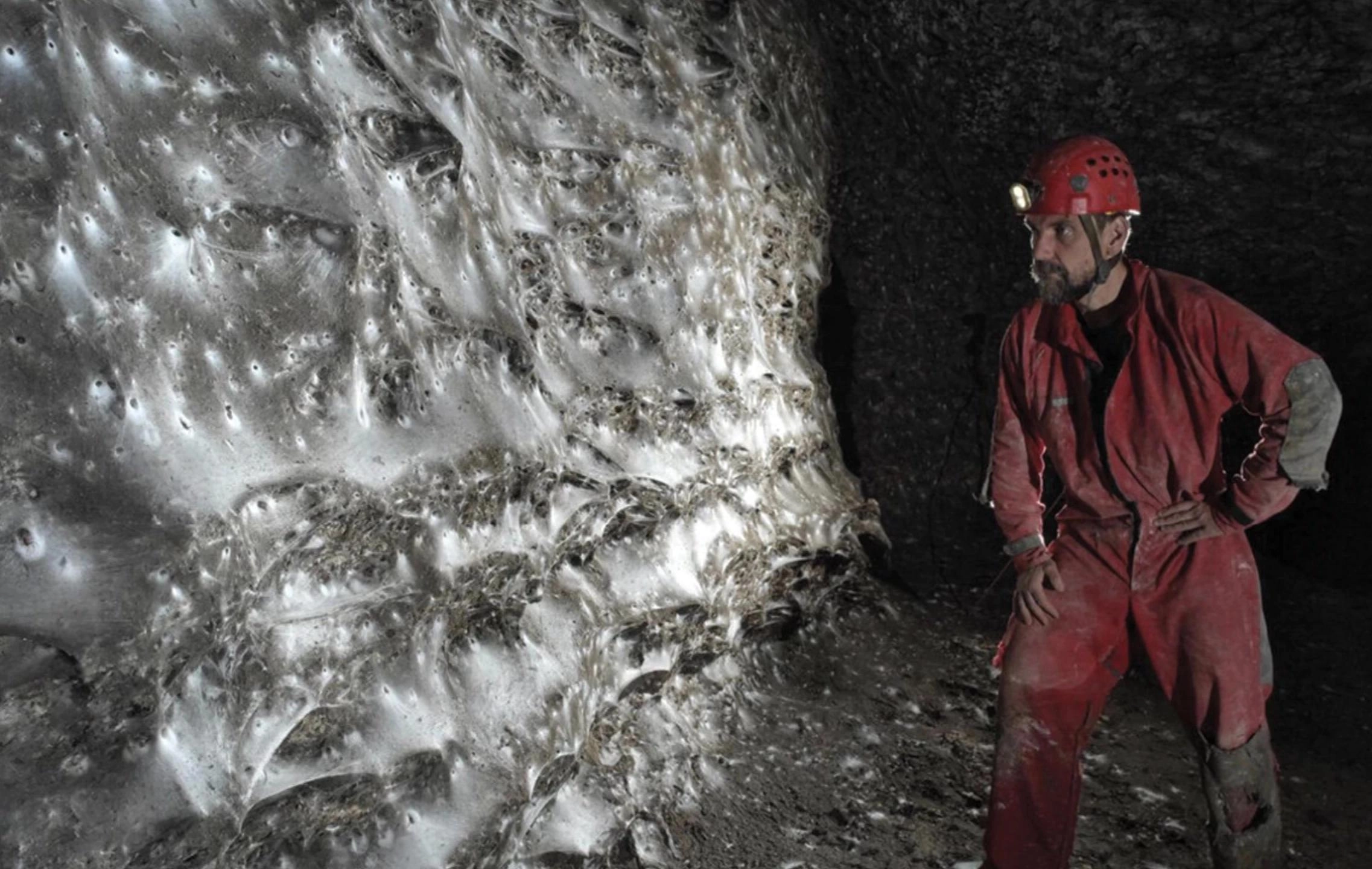 全球最大的蜘蛛网栖息着11万只蜘蛛 在完全黑暗的环境中繁衍 - 万事屋 | 生活·动漫·娱乐综合社区-银魂同好聚集地