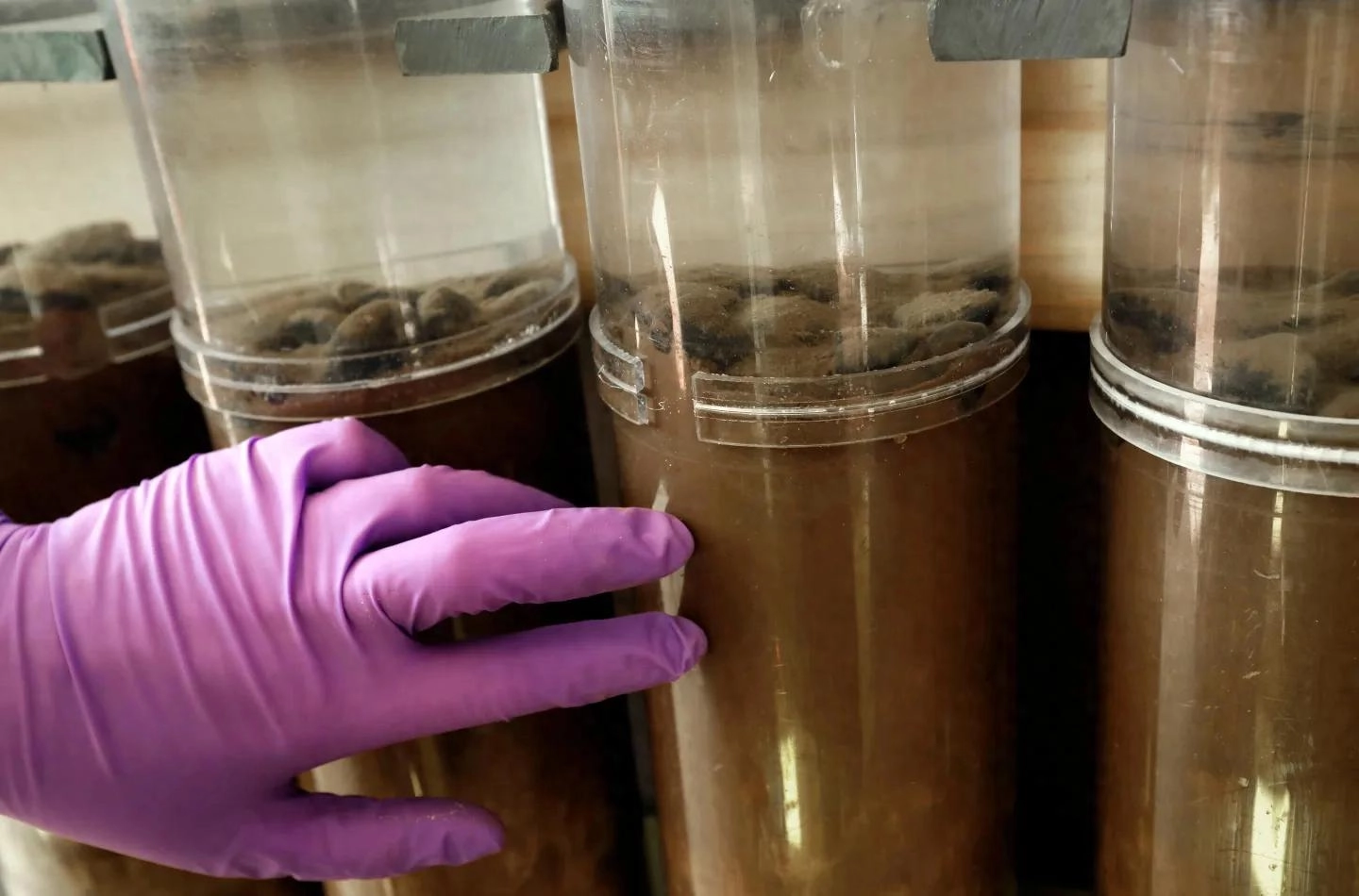 新研究警示采矿废弃物会影响鱼类及其食物链 - 万事屋 | 生活·动漫·娱乐综合社区-银魂同好聚集地