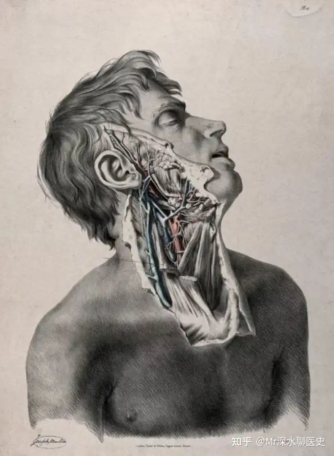 中医能像西医那样被广泛认可吗，中医与西医相比，从受众程度来看，究竟是输在哪个地方？ - 万事屋 | 生活·动漫·娱乐综合社区-银魂同好聚集地