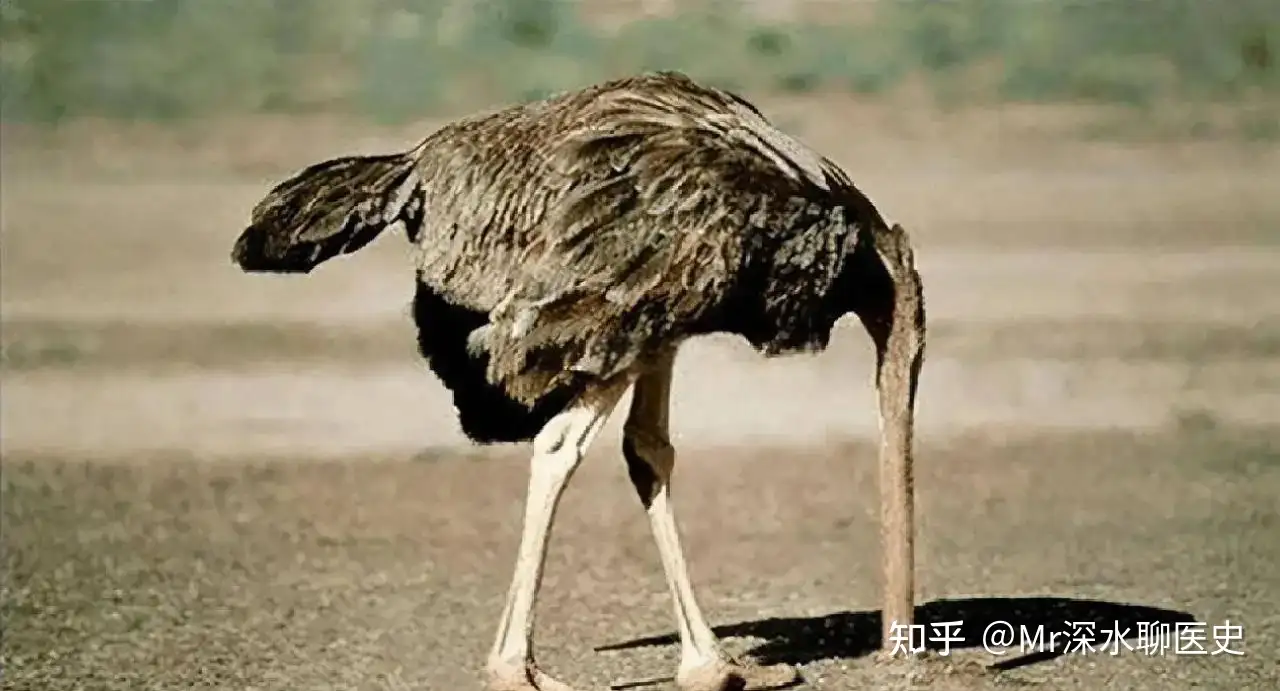 如今讨论中医已经不是一个医学问题，而是一个立场或政治问题