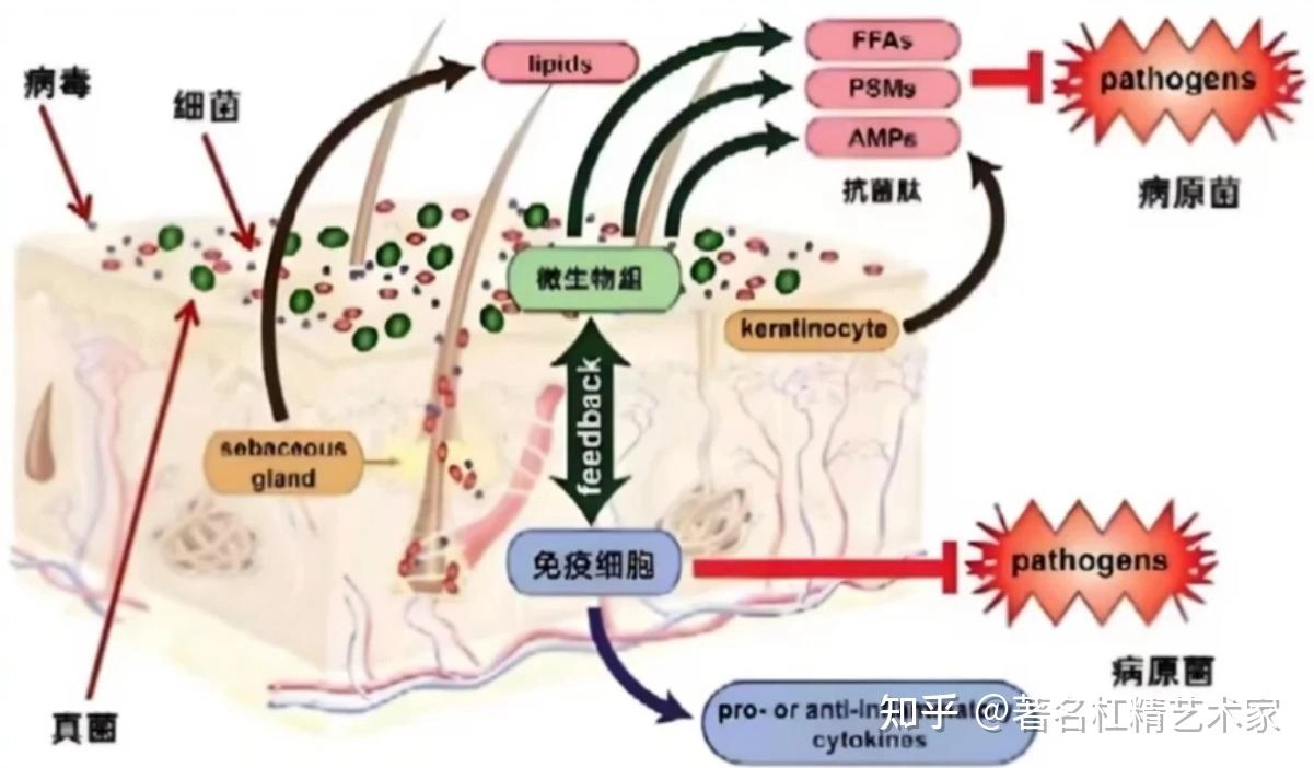 为什么医学这么发达湿疹却至今无解?有网友来打脸了