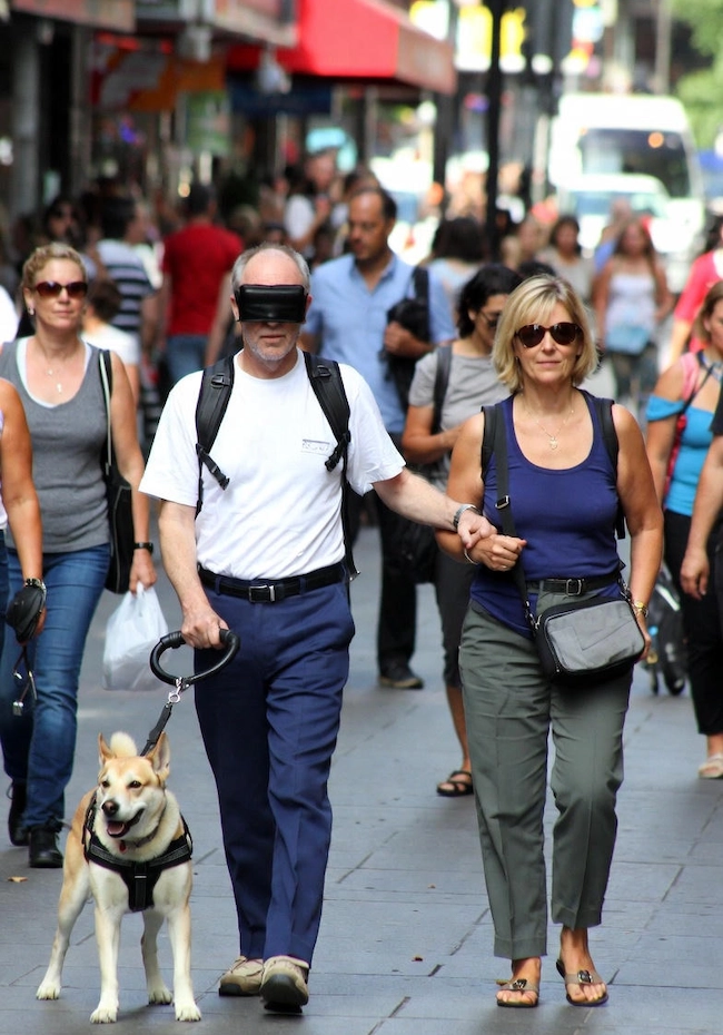 从“汪汪”到“喂喂”：失业青年化身导盲人是可行的！ - 万事屋 | 生活·动漫·娱乐综合社区-银魂同好聚集地