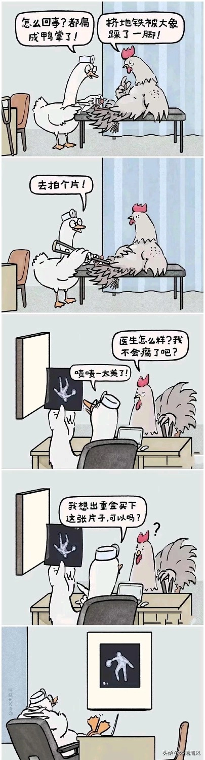 生活需要有发现美的眼睛 - 万事屋 | 生活·动漫·娱乐综合社区-银魂同好聚集地