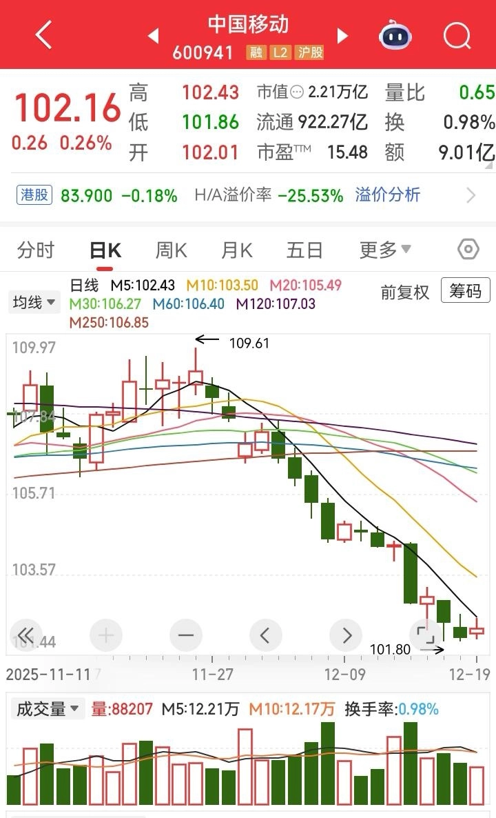 20251219200600143-IMG_8833