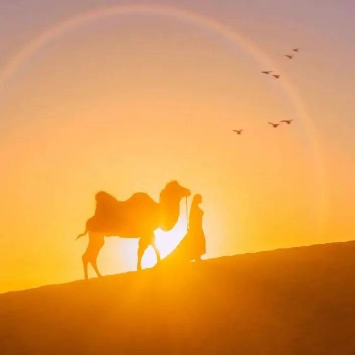 人生第一章记忆片段，让我始终没有归属感