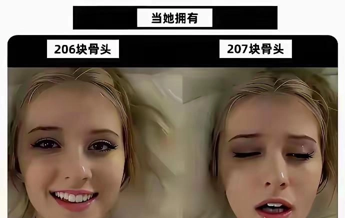 人类怎么拥有第207块骨头？ - 生活银魂 - 大众生活 - 万事屋 | 生活·动漫·娱乐综合社区-银魂同好聚集地