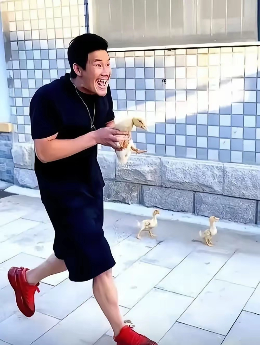 不可描述的诅咒？为什么两届嘎子，扮演者都不是好人？ - 吐槽银魂 - 大众生活 - 万事屋 | 生活·动漫·娱乐综合社区-银魂同好聚集地