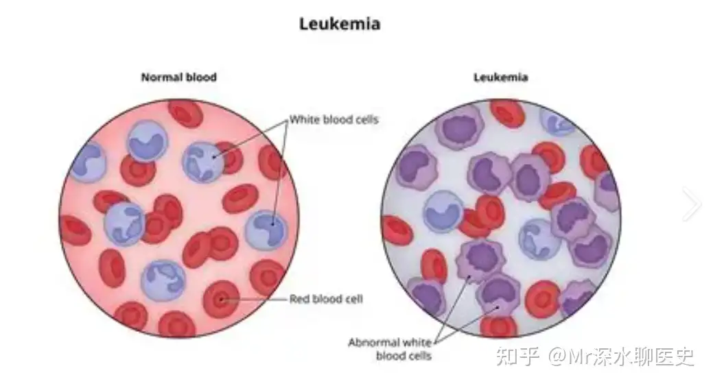 为什么中医辨证中，很多人不能看到证与药之间的关系？看深水哥怎么回答！