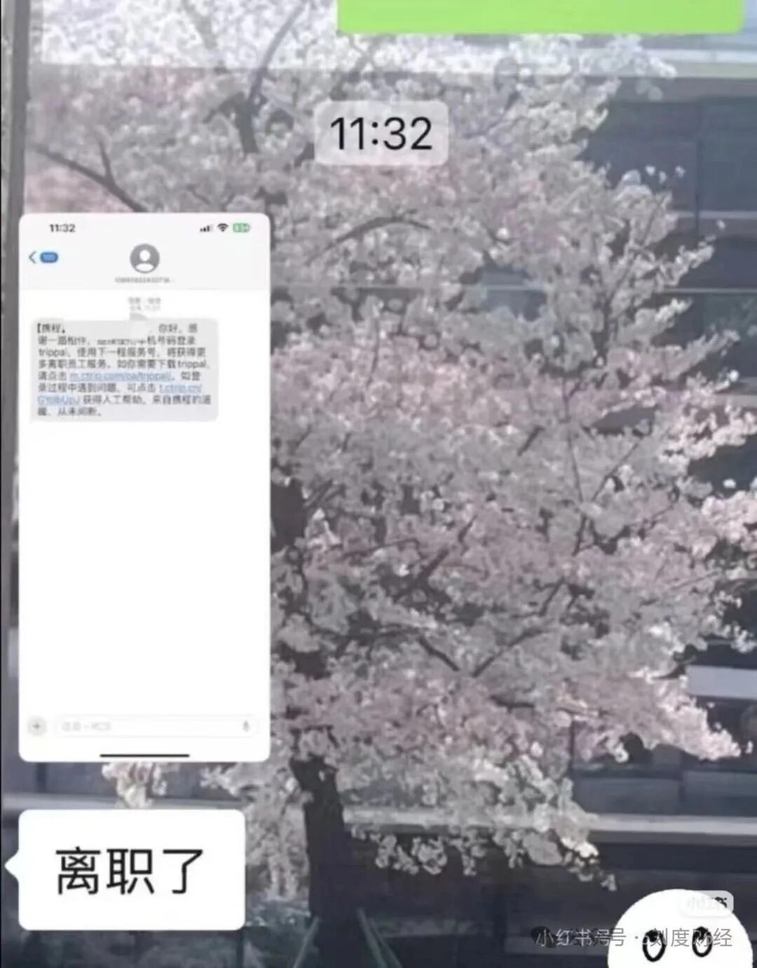 携程误发全员离职短信引发恐慌，员工透露：此次乌龙事件源于工作人员未提前关闭系统预设的短信提醒