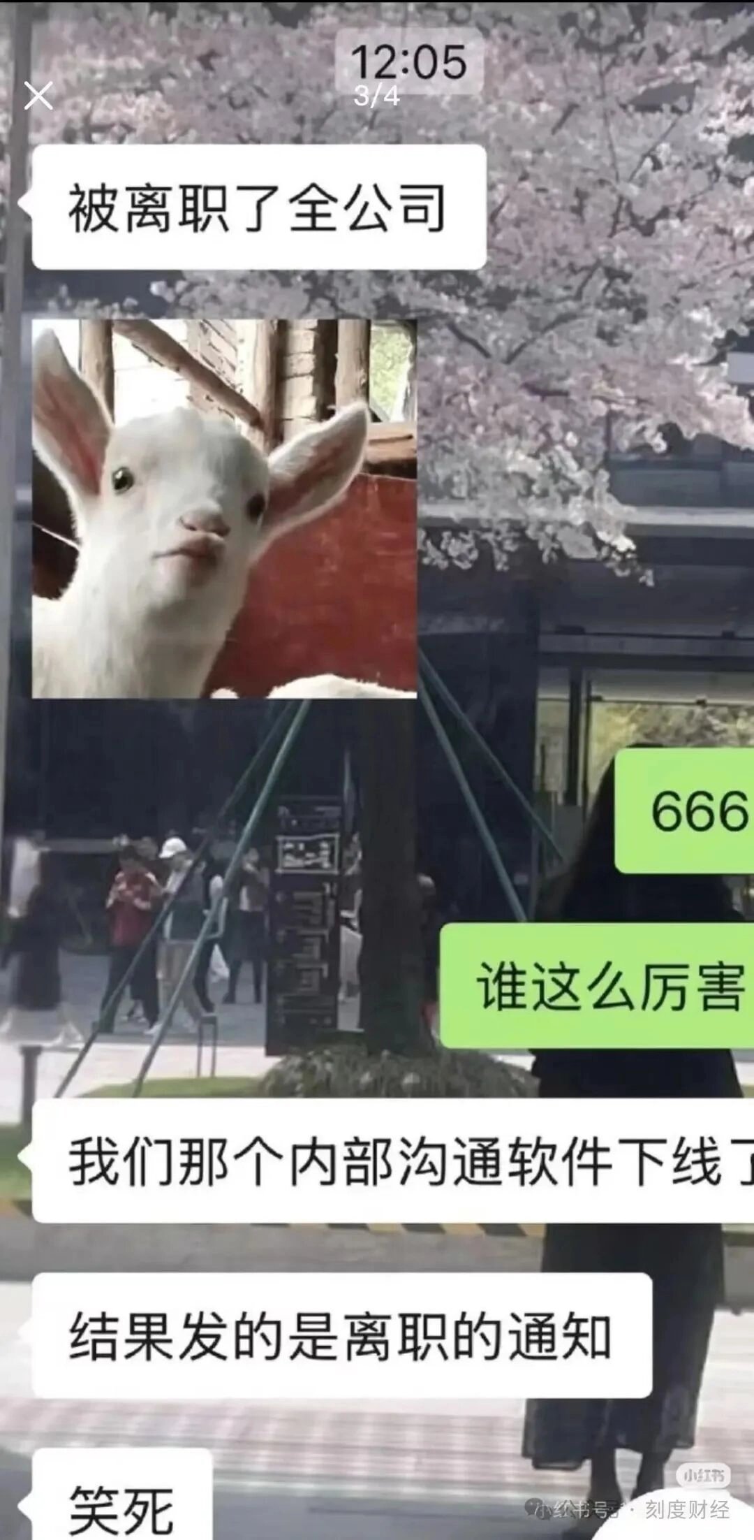 携程误发全员离职短信引发恐慌，员工透露：此次乌龙事件源于工作人员未提前关闭系统预设的短信提醒