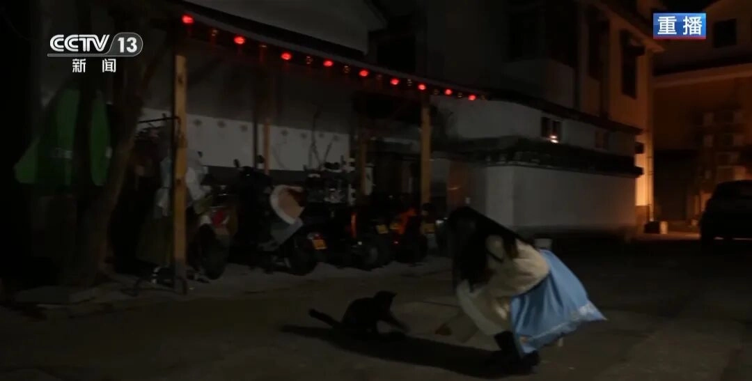 “兔子警官”李语蔚，确认当选