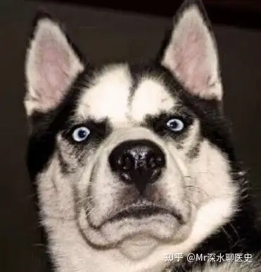 三针救下癫痫病患者是“妙手回春的中医”，还是“有意无意的骗子”？