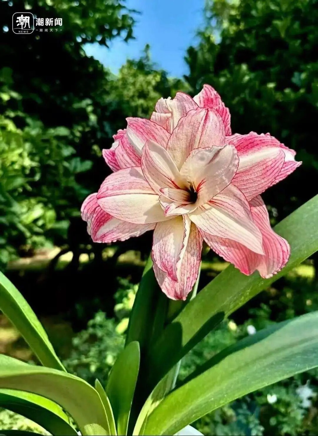 价格雪崩！近300元跌至35元，曾经的网红“卖不动了”