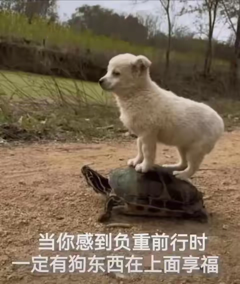 营销技术有限公司防屏蔽 - 万事屋 | 生活·动漫·娱乐综合社区-银魂同好聚集地