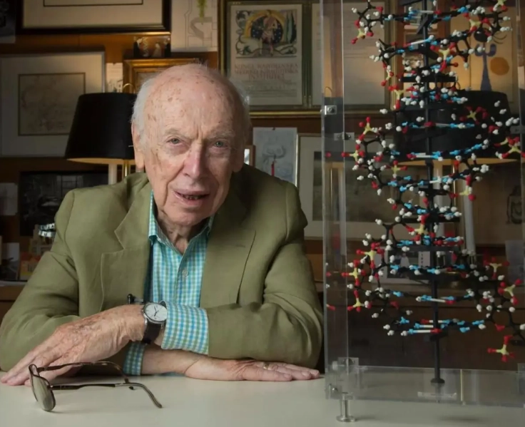 20260214094642305-image