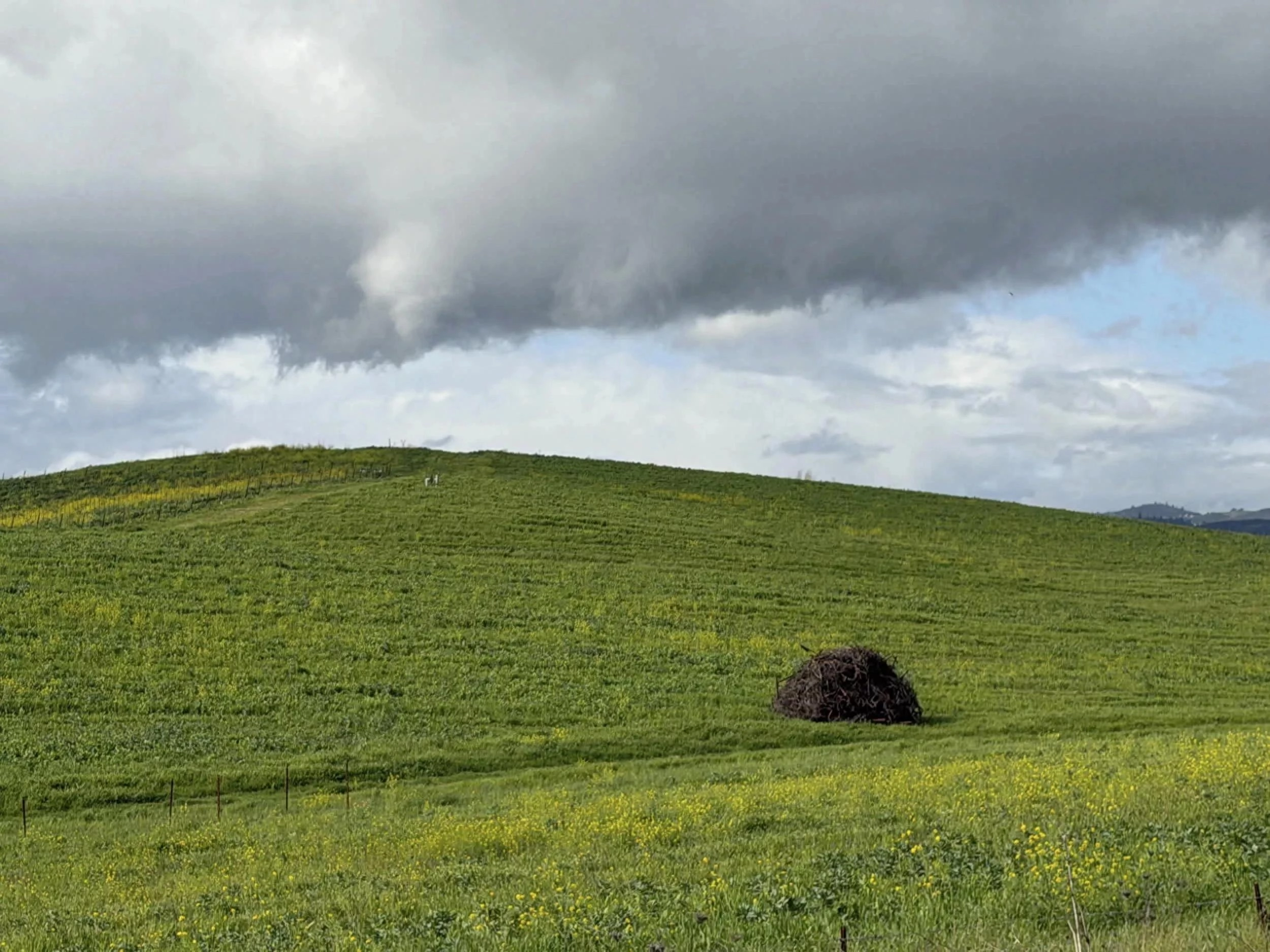 那张Windows XP的经典“Bliss”壁纸又在现实中短暂出现了 - 万事屋 | 生活·动漫·娱乐综合社区-银魂同好聚集地