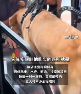 上海宠物健身房月卡1980元，宠物健身年卡近两万可游泳按摩