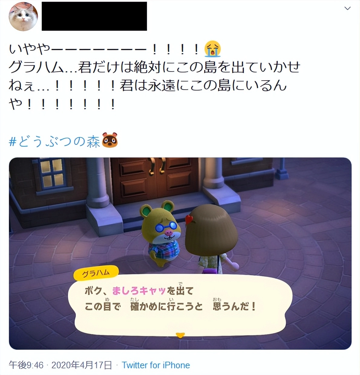 日本《动物森友会》人气投票翻车？“最丑居民”被刷成第一名