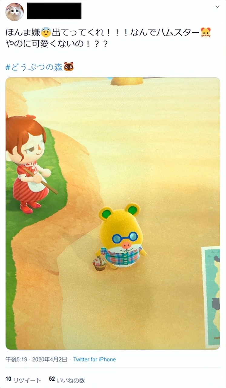 日本《动物森友会》人气投票翻车？“最丑居民”被刷成第一名