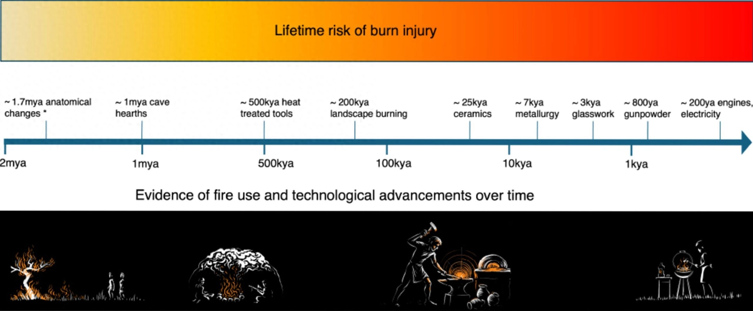 烧伤幸存者或许改变了人类进化进程 - 万事屋 | 生活·动漫·娱乐综合社区-银魂同好聚集地