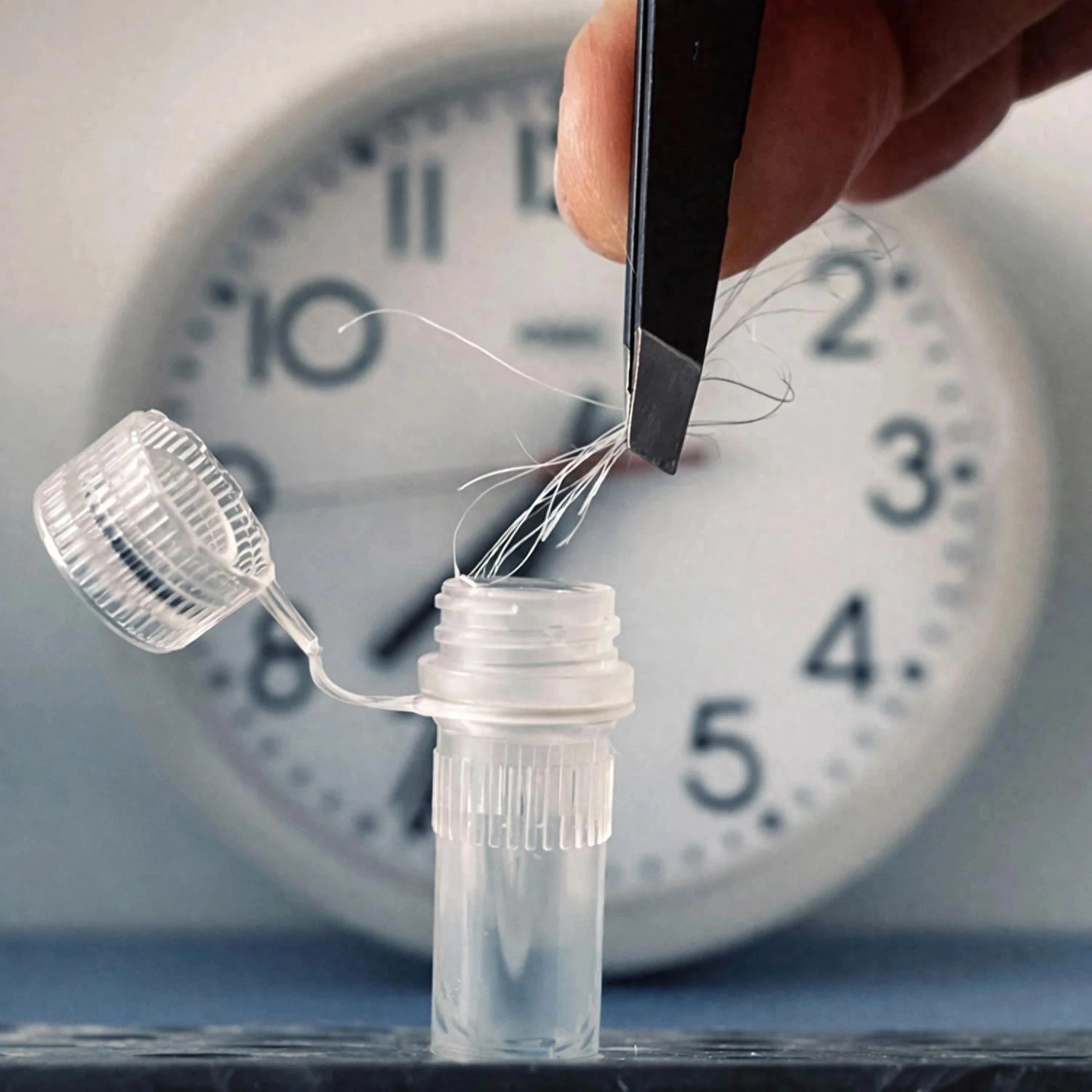 取一根头发就能“读懂”你的生物钟 德团队开发新型节律检测方法 - 万事屋 | 生活·动漫·娱乐综合社区-银魂同好聚集地