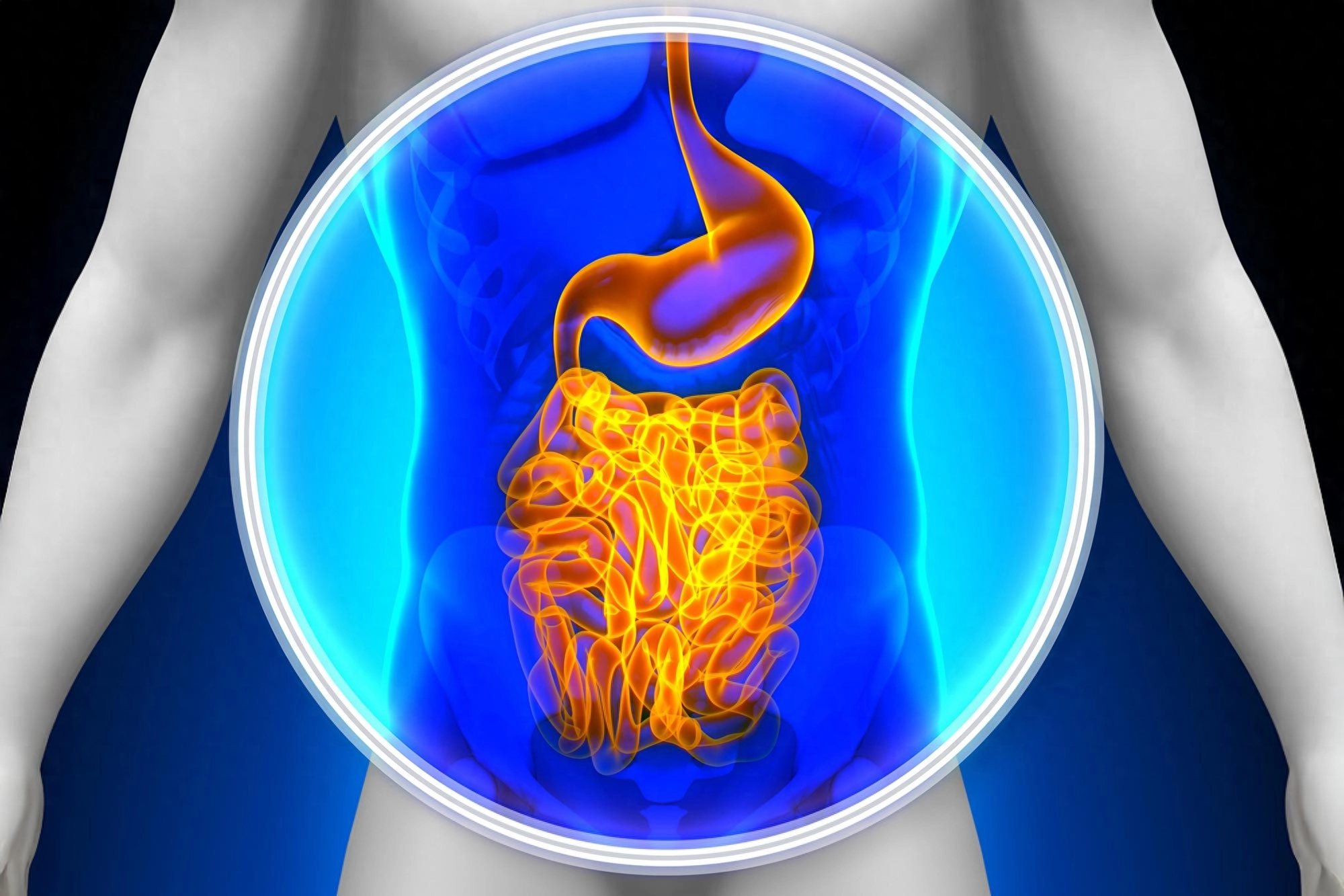 与室友或家人之间的亲密互动可能会重塑彼此体内的肠道菌群 - 万事屋