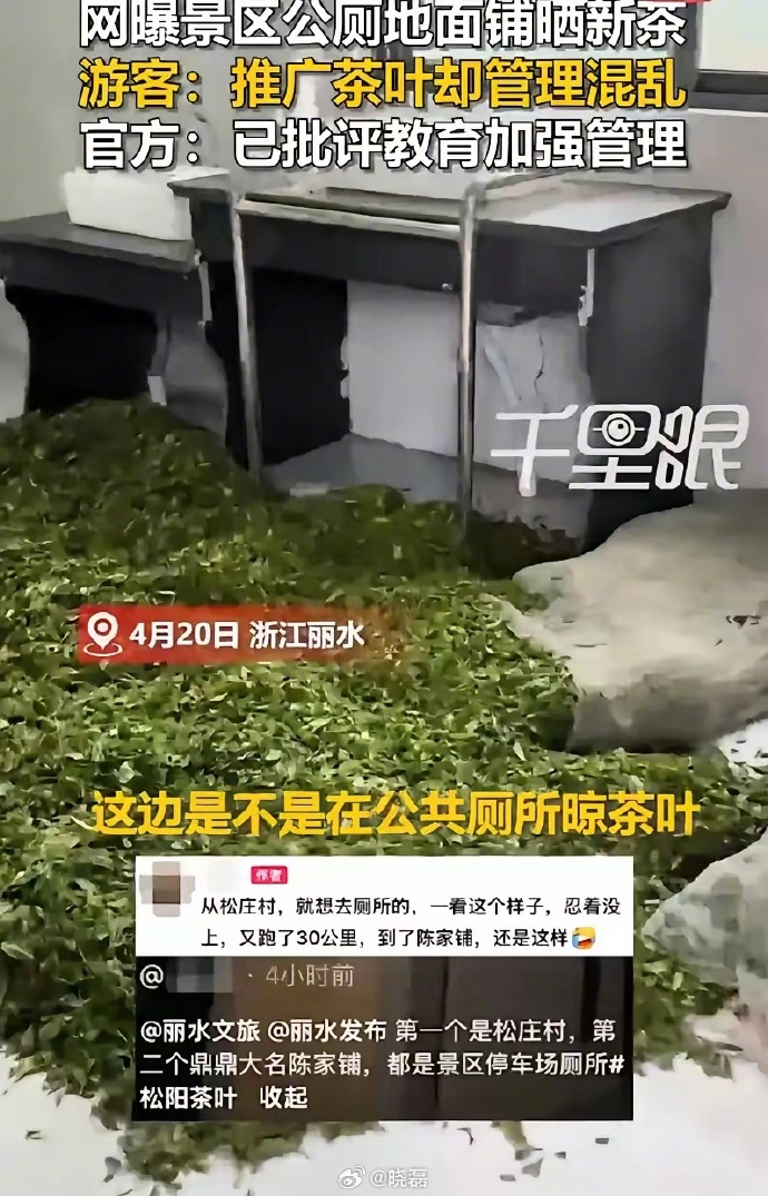 浙江丽水厕所晾茶叶这事劝退了朋友的买茶欲 - 万事屋