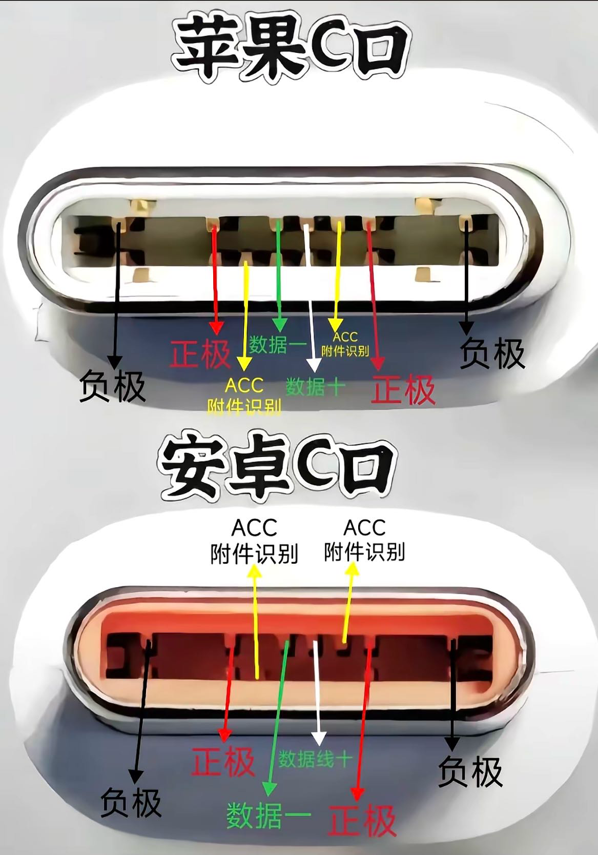 苹果C口与安卓C口能否通用呢？一张图片告诉你差异 - 万事屋